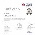 Ampliar imagen: certificate 3
