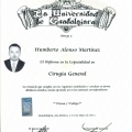 Ampliar imagen: certificate 5