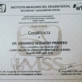 Ampliar imagen: certificate 11