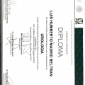 Ampliar imagen: certificate 2