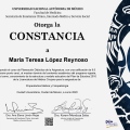 Ampliar imagen: certificate 6