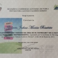 Ampliar imagen: certificate 13