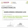 Ampliar imagen: certificate 13
