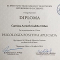 Ampliar imagen: certificate 4