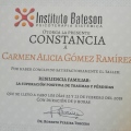 Ampliar imagen: certificate 6