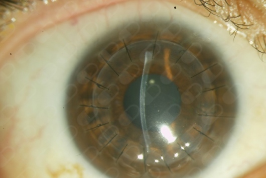 Julio Hernández Camarena-10