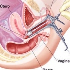 Dr. Jose Roberto Magallanes Molina