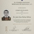 Ampliar imagen: certificate 1