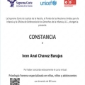 Ampliar imagen: certificate 8