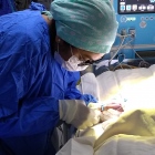 Dra. Ariadna M. Cruz Vázquez