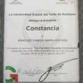 Ampliar imagen: certificate 8