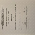 Ampliar imagen: certificate 27