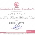 Ampliar imagen: certificate 5