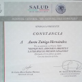 Ampliar imagen: certificate 9