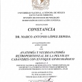 Ampliar imagen: certificate 14