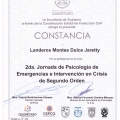 Ampliar imagen: certificate 2