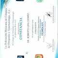 Ampliar imagen: certificate 28