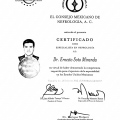 Ampliar imagen: certificate 3