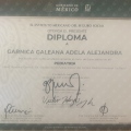 Ampliar imagen: certificate 7