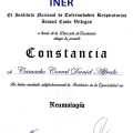 Ampliar imagen: certificate 5