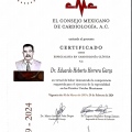 Ampliar imagen: certificate 10