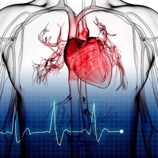 Gustavo Alvarez Bestoff-1