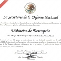 Ampliar imagen: certificate 9