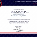 Ampliar imagen: certificate 9