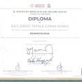 Ampliar imagen: certificate 4