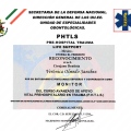Ampliar imagen: certificate 7