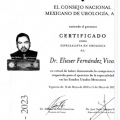Ampliar imagen: certificate 3