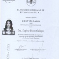 Ampliar imagen: certificate 2