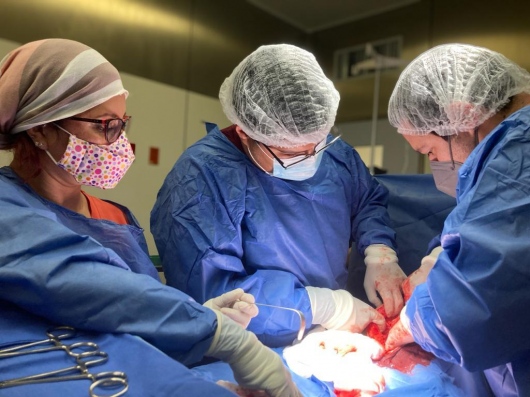 Jose Luis Jasso Perez-7