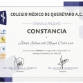 Ampliar imagen: certificate 5