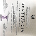 Ampliar imagen: certificate 9