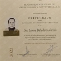 Ampliar imagen: certificate 2