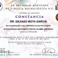 Ampliar imagen: certificate 3