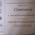 Ampliar imagen: certificate 13