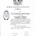 Ampliar imagen: certificate 4