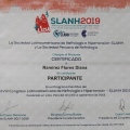 Ampliar imagen: certificate 11