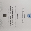 Ampliar imagen: certificate 13