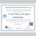 Ampliar imagen: certificate 21