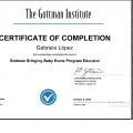 Ampliar imagen: certificate 1