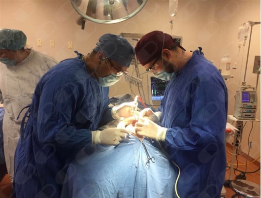 Ernesto Rojas Calderon-33