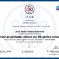 Ampliar imagen: certificate 25