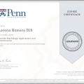 Ampliar imagen: certificate 6