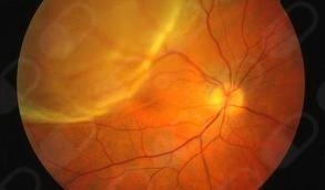 Tania Adabache Guel-8