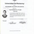 Ampliar imagen: certificate 7