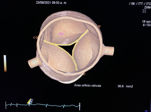 Adrián Nájera Rivera-2