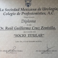 Ampliar imagen: certificate 6